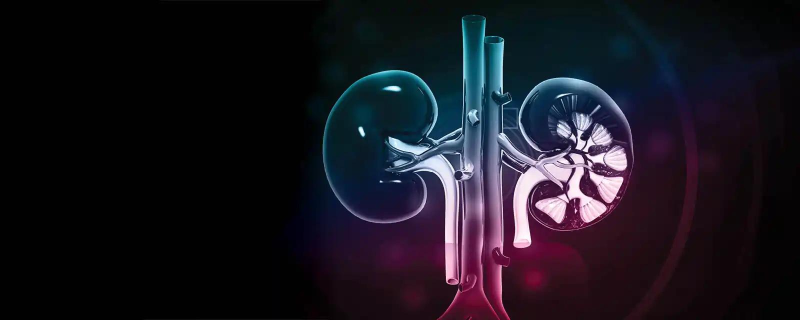 Nephrology